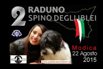 raduno_2015