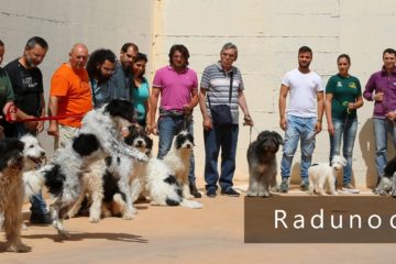 raduno_2016