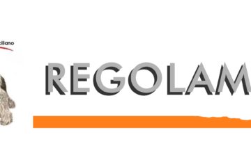 regolamento