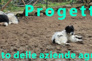 PROGETTO ENCI