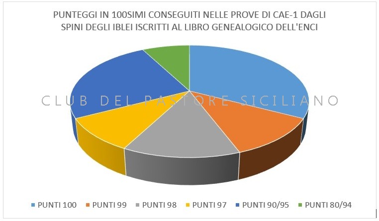 cae1