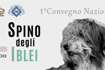 convegno