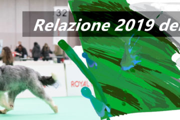 relazione2019